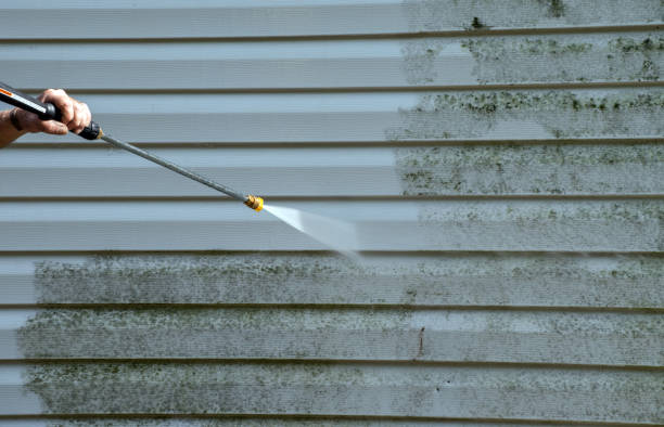 Best Local Pressure Washing Services  in Burnt Mills, MD